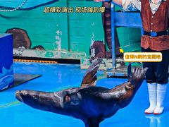 -石家庄极地海洋世界