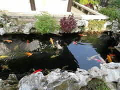 -金海华·华宴江南(斜塘店)