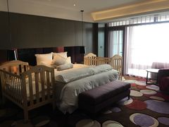 -南京禄口机场雅高铂尔曼大酒店