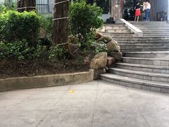 -山顶顶概念四川菜(黄埔大道店)