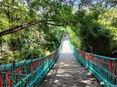 -南宁良凤江国家森林公园