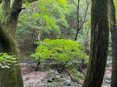 -关门山森林公园