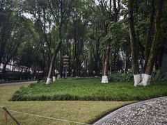 -重庆市江北嘴中央商务区中央公园