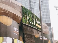 -武汉光谷K11