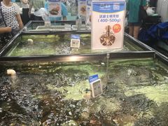 -盒马渔市餐厅