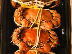 -黄记大闸蟹专卖店·活蟹·醉蟹