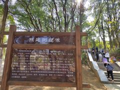 -青龙山国家森林公园
