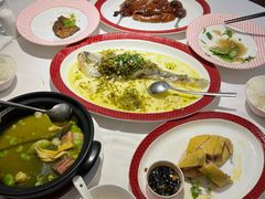 -圆苑(静安寺店)