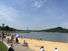 -上海月湖雕塑公园