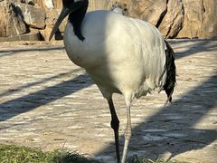 -石家庄市动物园