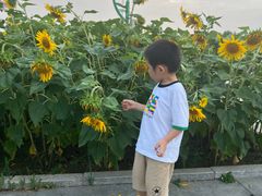 -霸王河欢乐世界