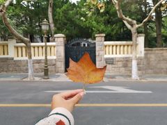-八大关景区
