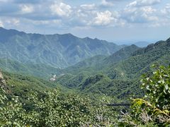 -大岭沟猕猴桃谷风景区