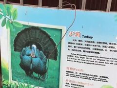-1982农场
