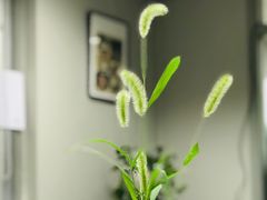 -上海市商贸旅游学校(浦西校区)