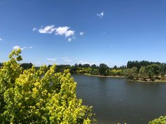 -东郊湿地公园