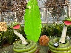 -南宫五洲植物乐园