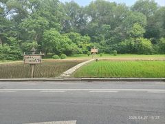 -沈阳植物园
