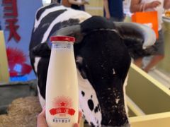 -红星前进面包牛奶公司(君太店)