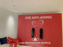 -紫御国际抗衰ZOE ANTI AGING