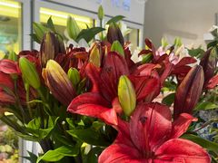 -MCJ-花店(西罗园店)