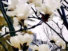 -塔子山公园