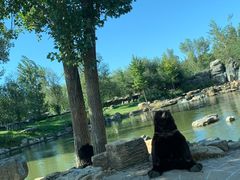 -北京野生动物园