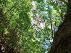 -龙门涧景区