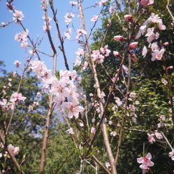 -大美母婴湖畔月子中心(江宁店)