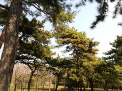 -钓鱼台国宾馆