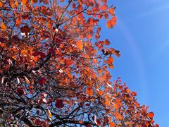 -北京西山国家森林公园