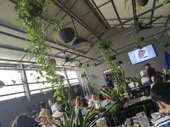 大堂-啰啰冰屋(景洪总店)