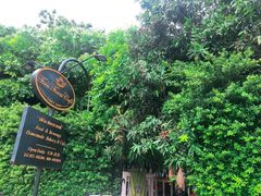 -Fern Forest Cafe