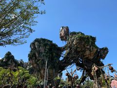 -奥兰多迪士尼动物王国乐园