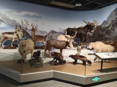 -陕西自然博物馆