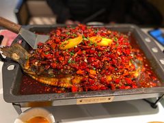 -江边城外烤全鱼(世茂广场店)