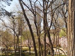 -元大都城垣遗址公园