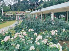 -人民公园(罗湖区)