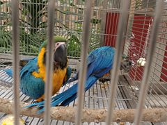 -南宫五洲植物乐园