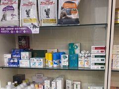 -安琪娜动物医院•健康管理•骨科•急重症诊疗中心