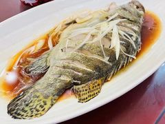 -桃子餐厅·天津菜(红星路直营店)