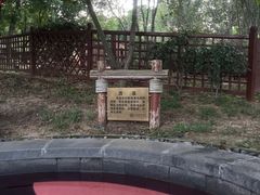 -东海森林温泉