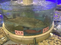 -东方御宴海鲜酒楼(棕泉酒店)