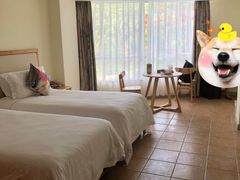 -三亚亚龙湾金棕榈度假酒店