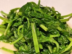 清炒豆尖-烟雨青城·川菜(北京坊店)
