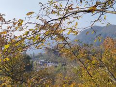 -塔川景区