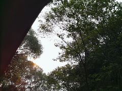 -惠山国家森林公园