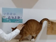 -Best U照相馆证件照·外拍(五角场店)