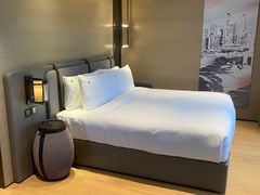 -新加坡瑞士史丹福酒店