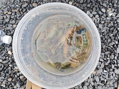 -DGE季风钓虾营地·团建·聚会